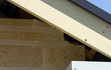 soffit repair West Tolgus